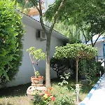 Hotel Alex 2*