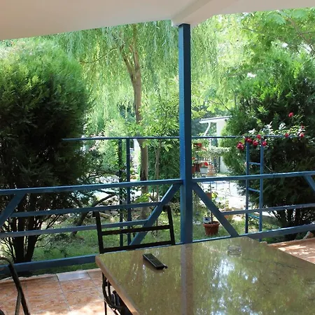 Alex Hotel Costinesti