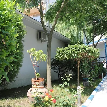 Hotel Alex 2*